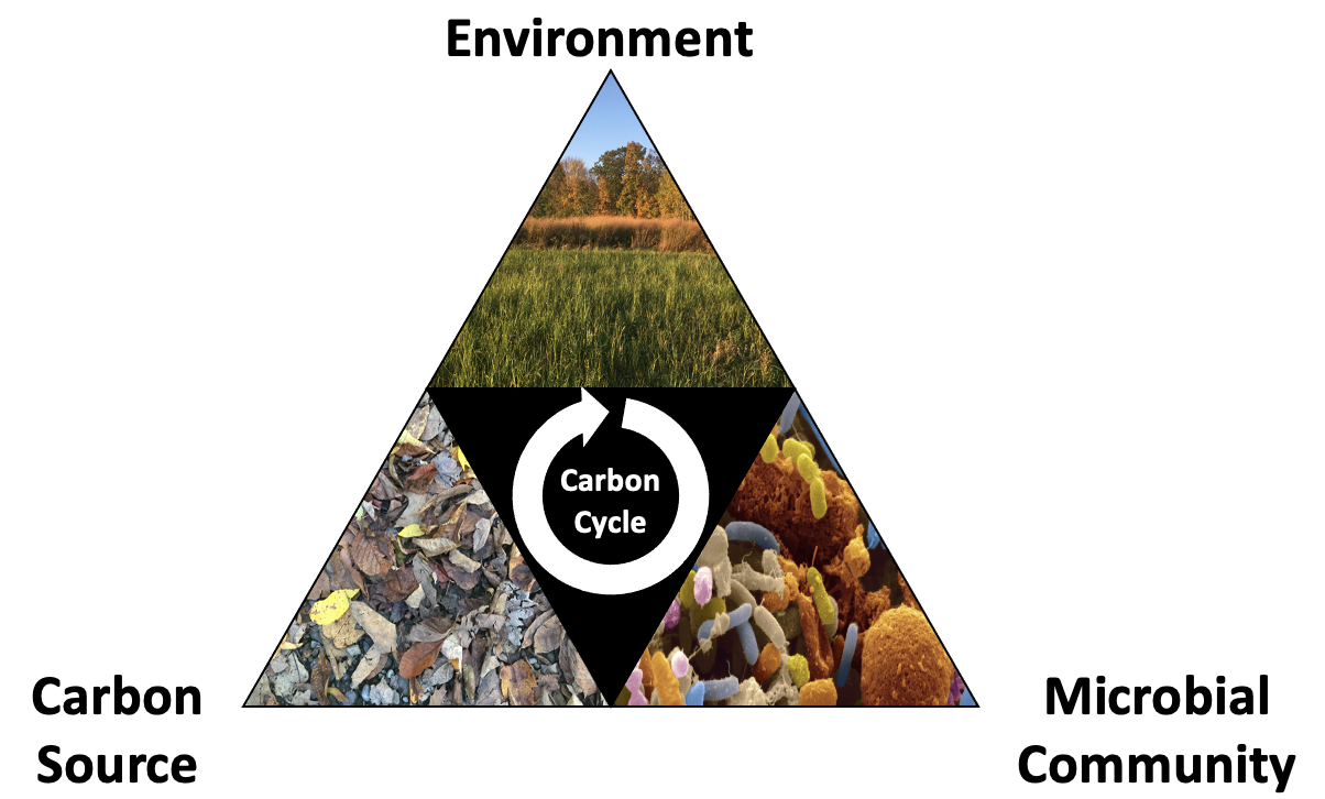 C-cycling diagram