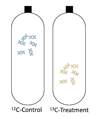 DNA-SIP diagram