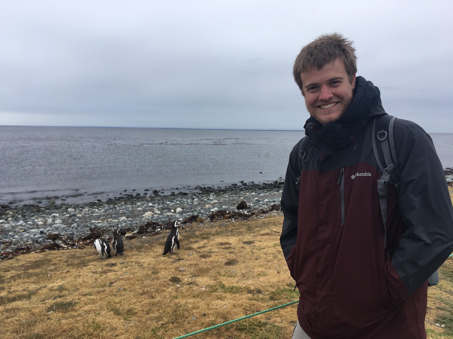 Visiting the Magellanic penguins on Isla Magdalena in Chile